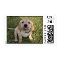 Kelly Berry postage