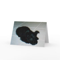 Kelly Boo Pup Greeting Card by rsmithey Kelly Boo Pup Greeting Card