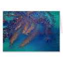 Kelp, Point Lobos, Carmel, CA cards by GKGallery Kelp, Point Lobos, Carmel, CA cards