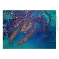 Kelp, Point Lobos, Carmel, CA cards
