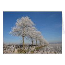 Kelso Trees cards by Bourach Kelso Trees cards