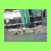 Kemah Fishing Boat & Pelicans postcard - customize
