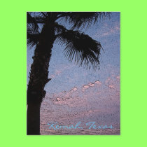 Kemah Palm Sunset postcard - customized postcards