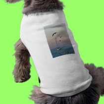 Kemah Sailboat pet clothing pet clothing