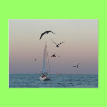 Kemah sailboat postcards