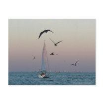 Kemah sailboat postcards