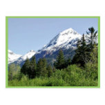 Kenai Fjords National Park Post Cards