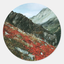 Kenai Landscape Sticker