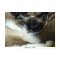 KENJI SU - TEMPLE GOD ~ Photo Poster posters by RavenSpiritPrints KENJI SU - TEMPLE GOD ~ Photo Poster posters
