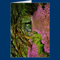 Kenmare Fairy Road cards