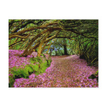 Kenmare Fairy Road