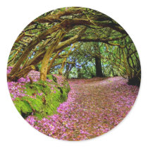 Kenmare Fairy Road Round Stickers