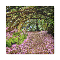 Kenmare Fairy Tunnel Magnets