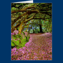 Kenmare Ireland cards