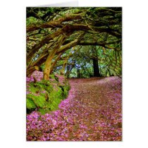 Kenmare Ireland Card