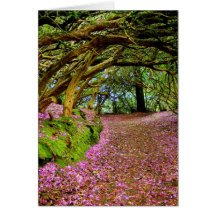 Kenmare Ireland Card