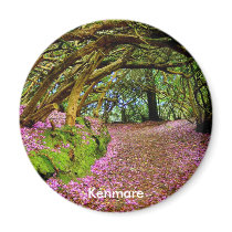 Kenmare Ireland Fridge Magnets