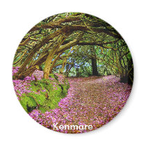Kenmare Ireland Refrigerator Magnets