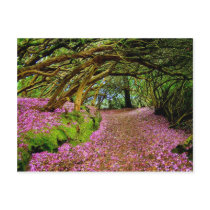 Kenmare Ireland Postcards
