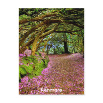 Kenmare Ireland