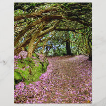 Kenmare Rhododendron Tunnel Custom Flyer