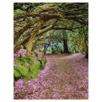 Kenmare Rhododendron Tunnel flyers by Irishdreams Kenmare Rhododendron Tunnel flyers