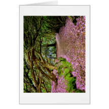 Kenmare Rhododendron Tunnel Greeting Card