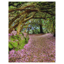 Kenmare Rhododendron Tunnel letterhead by Irishdreams Kenmare Rhododendron Tunnel letterhead