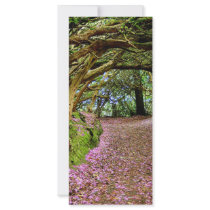 Kenmare Rhododendron Tunnel rack cards