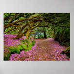 Kenmare  Rhododendron Tunnel - The... - Customized Poster