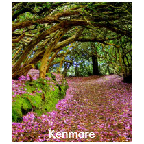 Kenmare Shirts