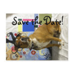 kenny, Save the Date! Post Cards
