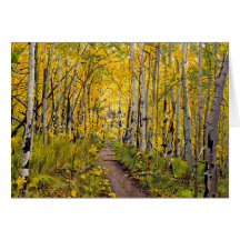 Kenosha to Breckenridge Trail Oil Painting Greeting Cards