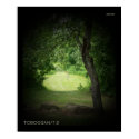 Kensington Toboggan #12 posters