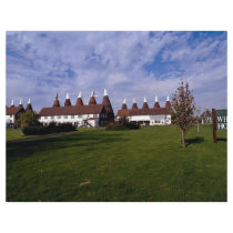 Kentish hop farm, Whitbread, Britain in Europe Custom Flyer