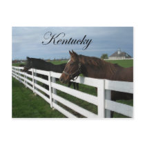 Kentucky Bluegrass Country Postcards