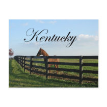 Kentucky Bluegrass Country Postcard