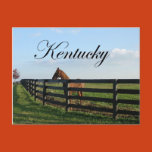 kentucky, bluegrass, country
