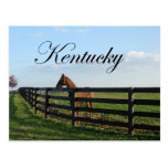 Kentucky Bluegrass Country postcards