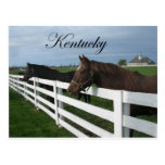 Kentucky Bluegrass Country postcards