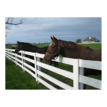 Kentucky Bluegrass Country posters by commoncreative Kentucky Bluegrass Country posters