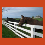 kentucky, bluegrass, country