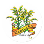 Kentucky Goldenrod
