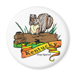 Kentucky grey squirrel