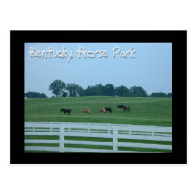 Kentucky Horse Park Postcards