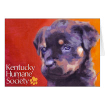 Kentucky Humane Society cards