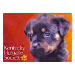 Kentucky Humane Society cards