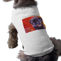 Kentucky Humane Society pet clothing