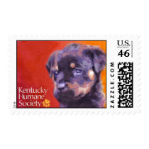 Kentucky Humane Society postage