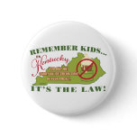 Kentucky Ice Cream Law